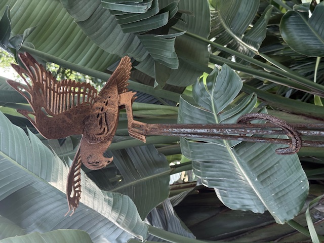 images/RS KAHU4.jpeg